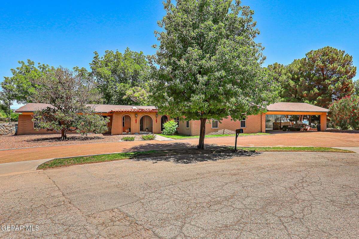 713 Live Oak